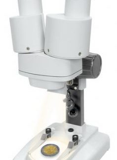 Mikroskooppi, Byomic Junior Stereo, 20x